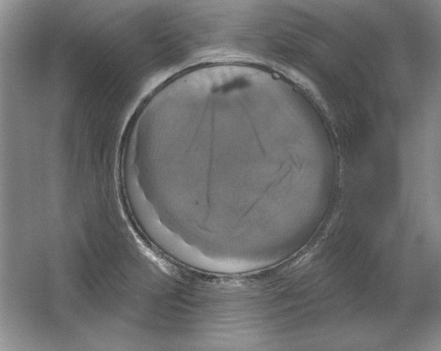 X0000064741231200603031659