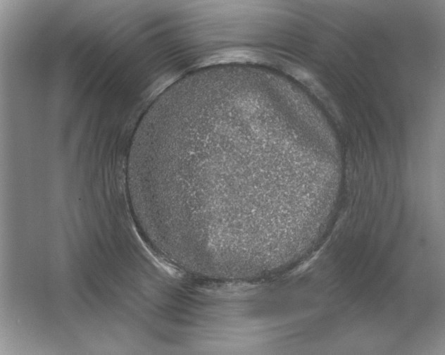 X0000064741233200603031659