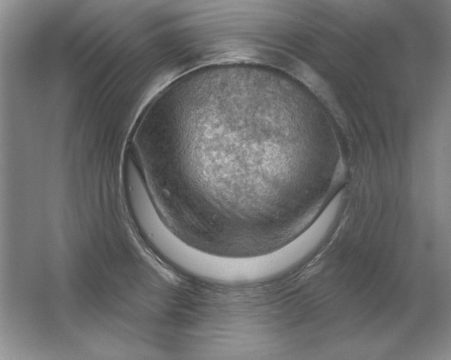 X0000064741234200603031659