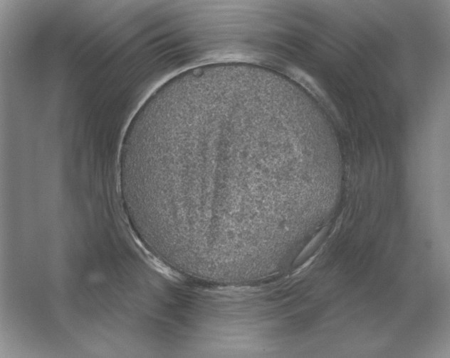 X0000064741236200603031659