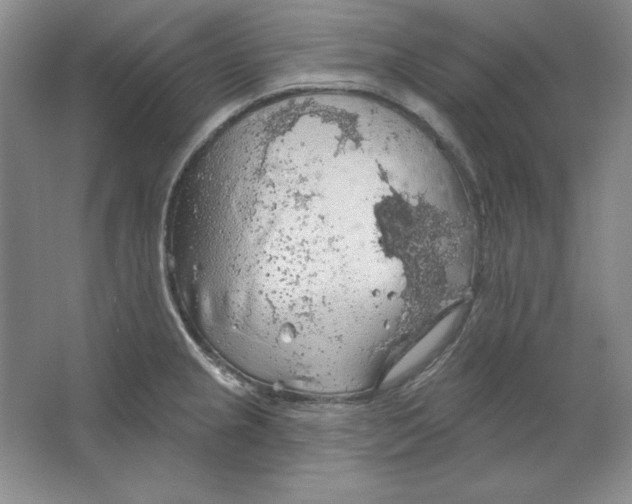 X0000064741237200603031659