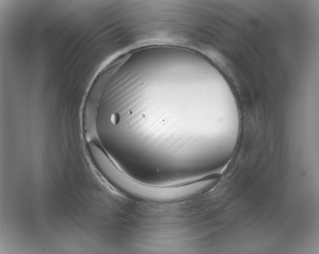 X0000064741238200603031659