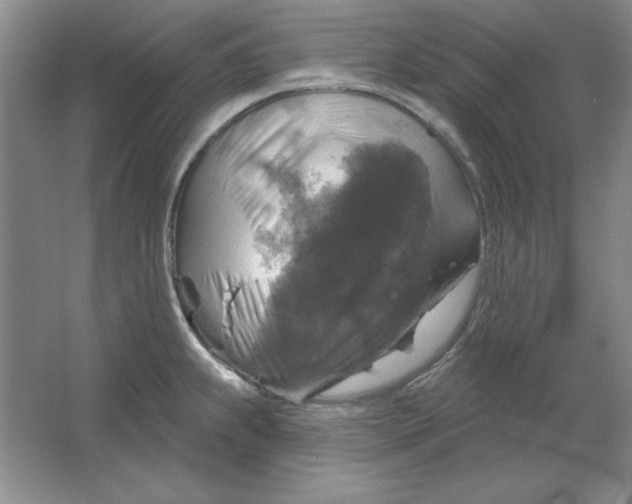 X0000064741239200603031659