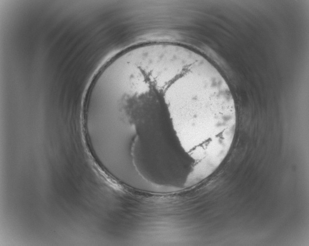 X0000064741240200603031659