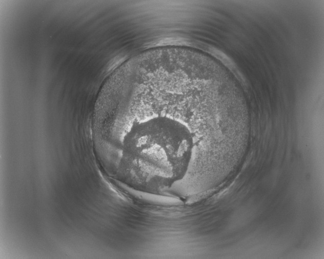 X0000064741241200603031659