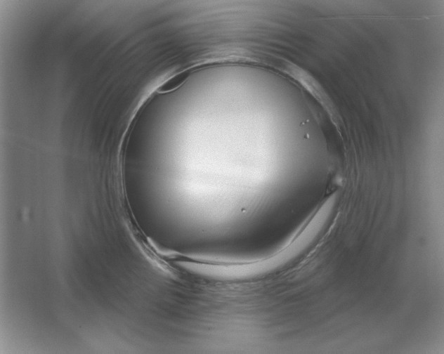 X0000064741242200603031659