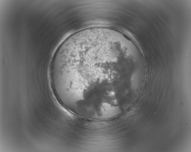 X0000064741243200603031659