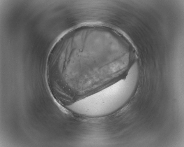 X0000064741245200603031659