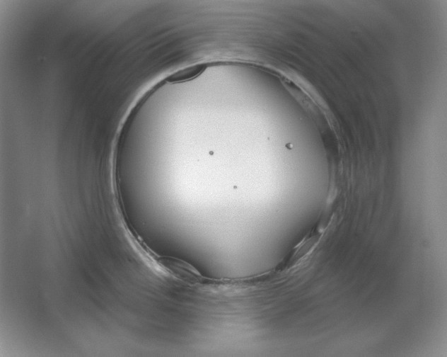 X0000064741246200603031659