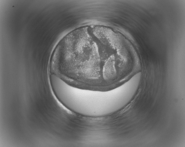 X0000064741247200603031659