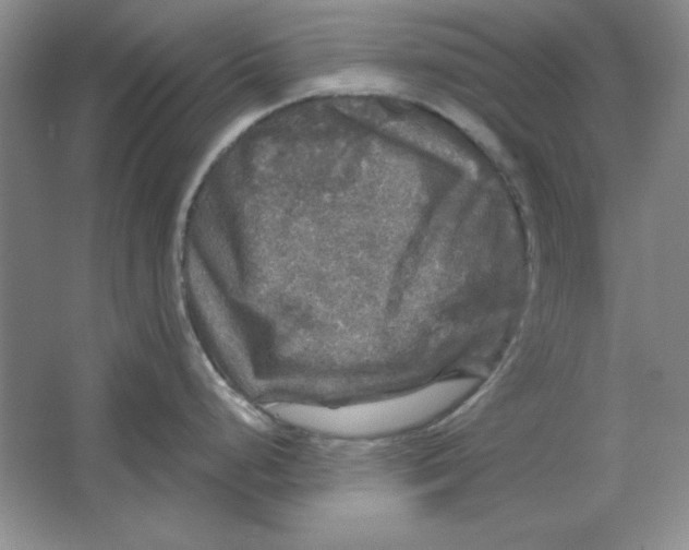 X0000064741248200603031659