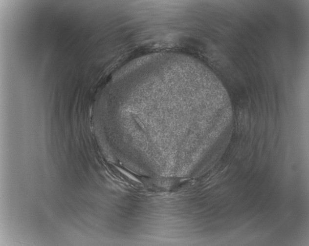 X0000064741250200603031658