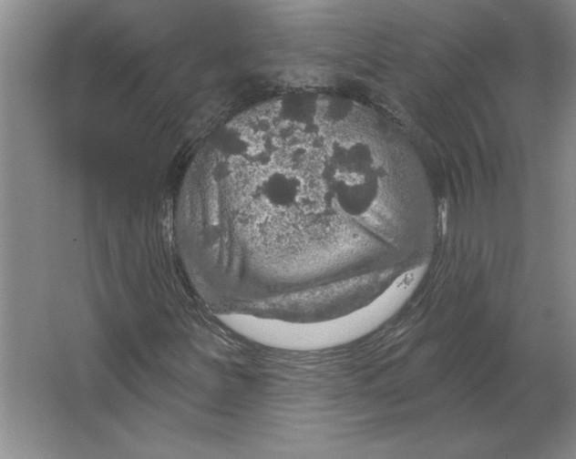 X0000064741251200603031658