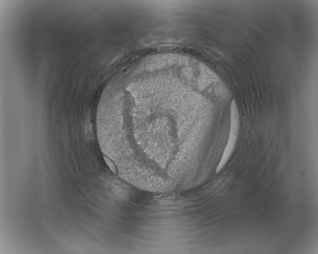 X0000064741252200603031658