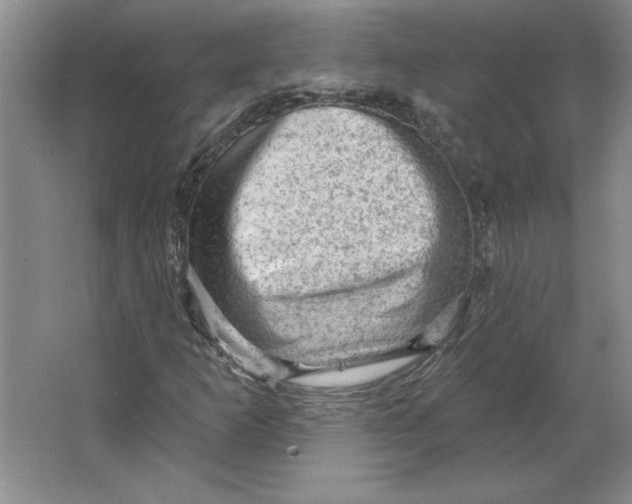 X0000064741253200603031658