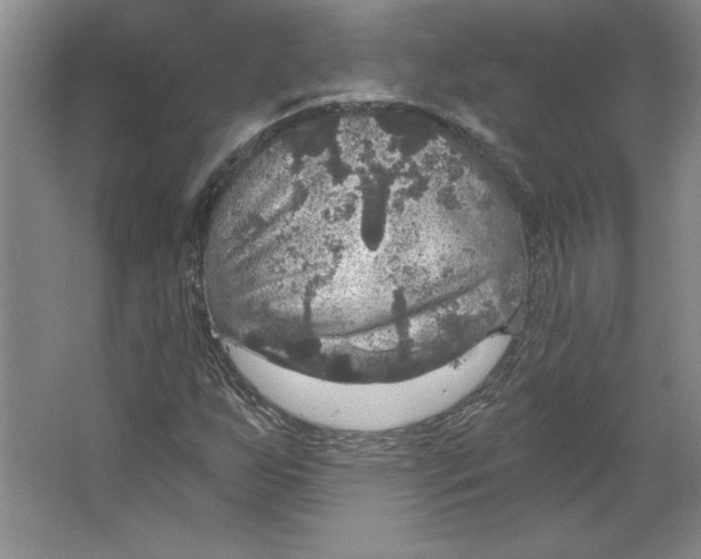 X0000064741255200603031658