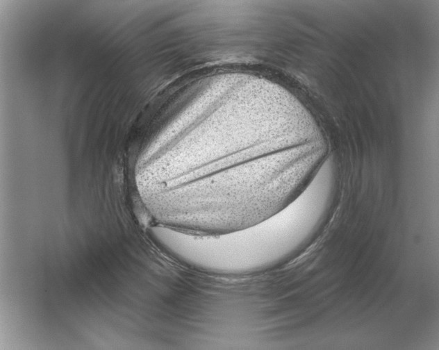 X0000064741257200603031658