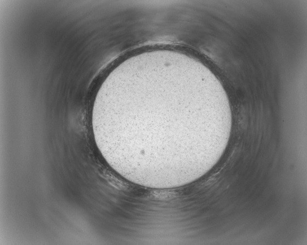 X0000064741258200603031658