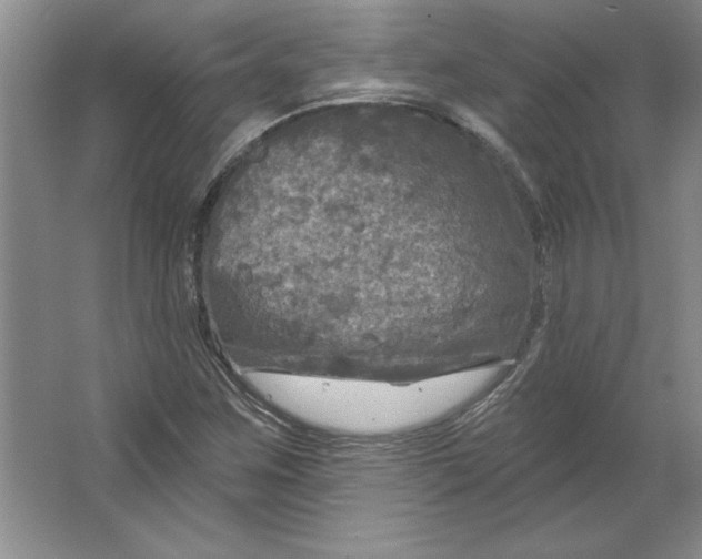 X0000064741259200603031658