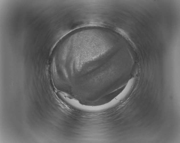 X0000064741260200603031658