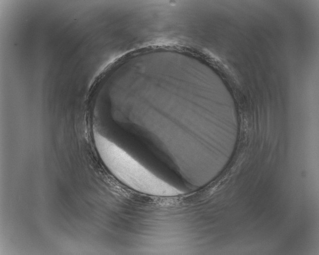 X0000064741262200603031658