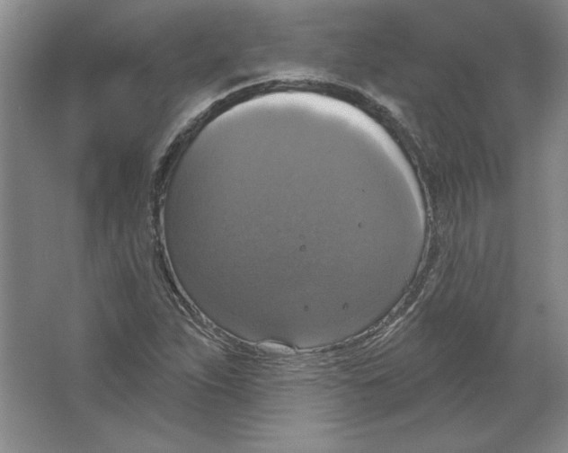 X0000064741263200603031658