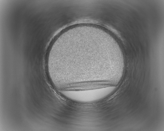 X0000064741264200603031658