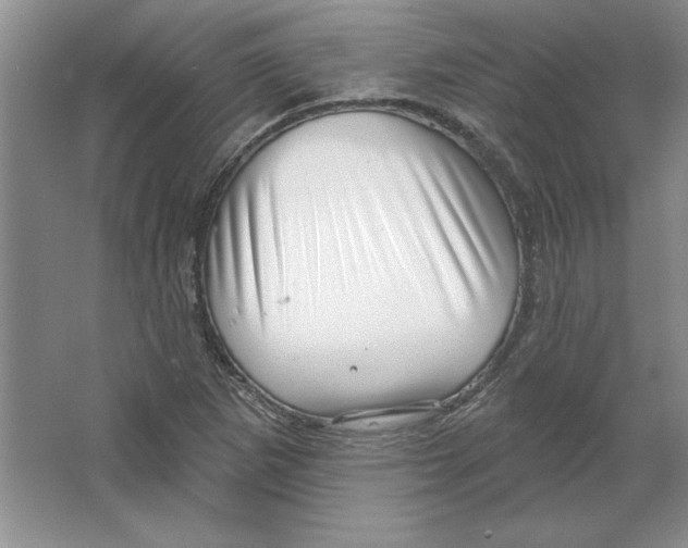 X0000064741265200603031658