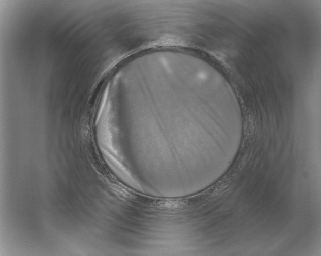 X0000064741266200603031658