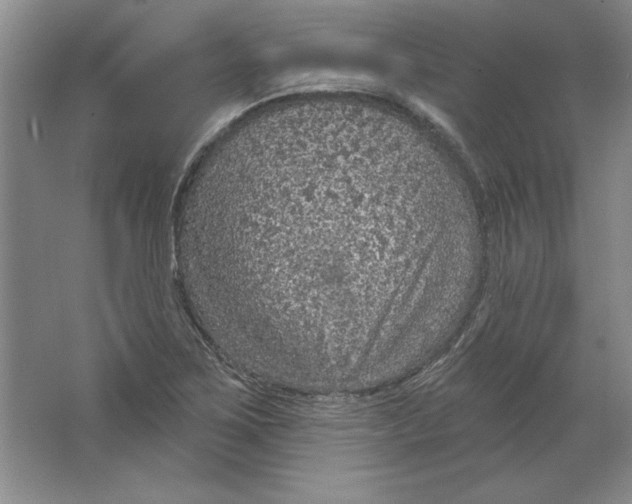 X0000064741267200603031658