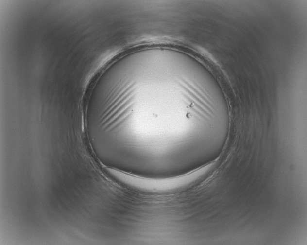 X0000064741269200603031658