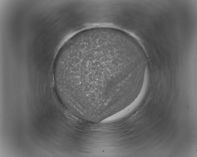 X0000064741271200603031658