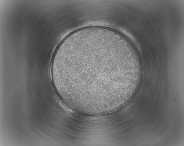 X0000064741272200603031658