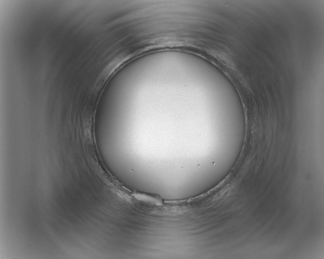 X0000064741273200603031658