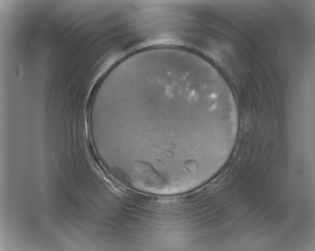 X0000064741274200603031658