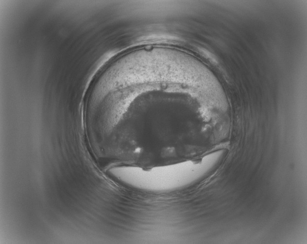 X0000064741275200603031658