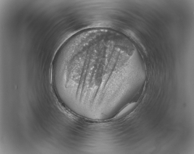 X0000064741276200603031658