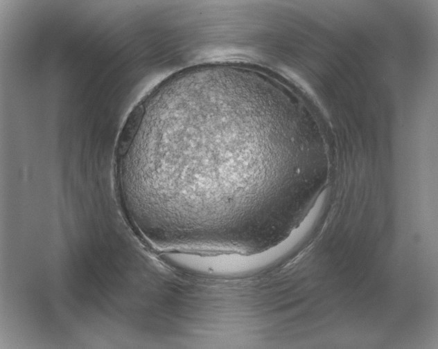 X0000064741277200603031658