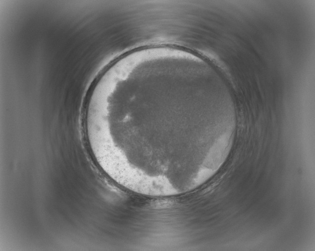 X0000064741278200603031658