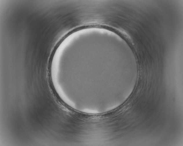 X0000064741279200603031658