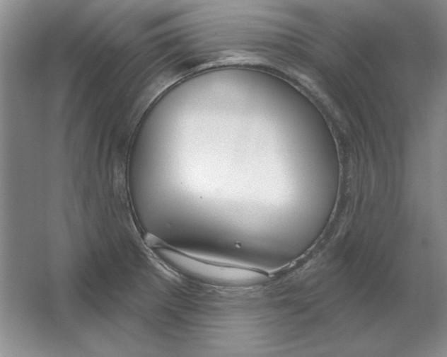 X0000064741281200603031658