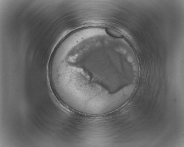 X0000064741283200603031658