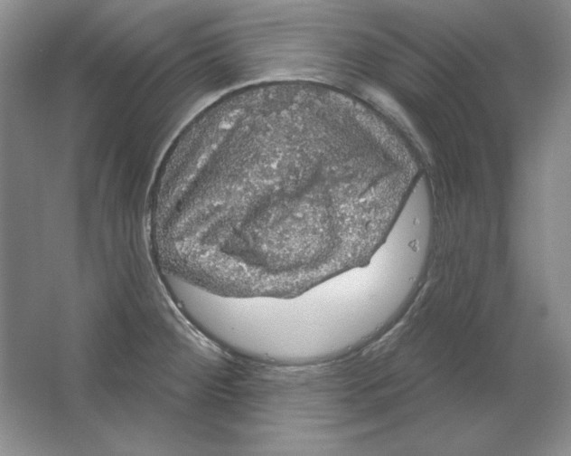 X0000064741284200603031658