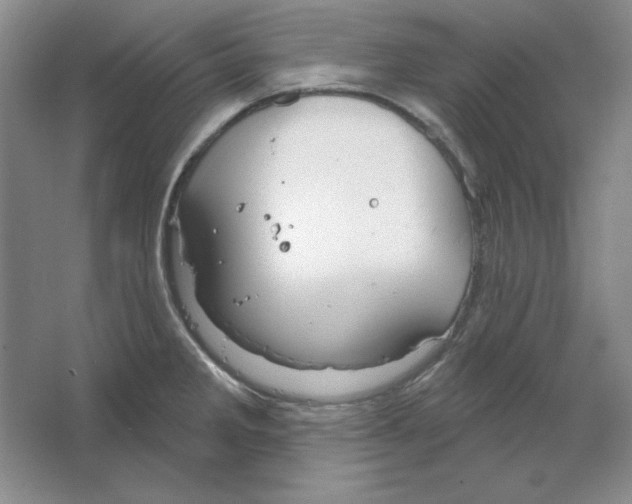 X0000064741285200603031658