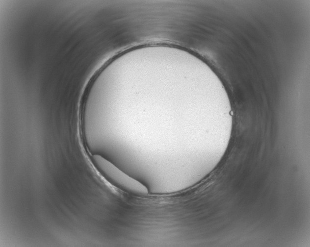 X0000064741286200603031658