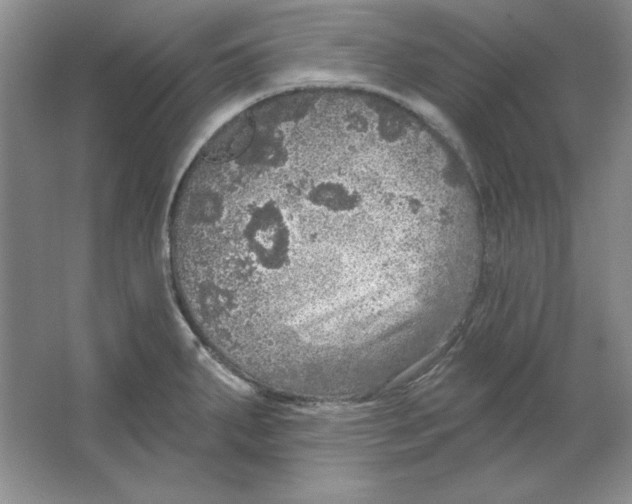 X0000064741287200603031658