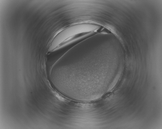 X0000064741289200603031658