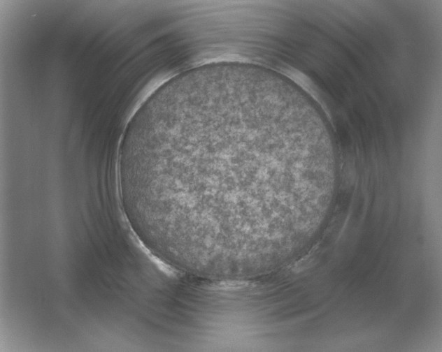 X0000064741290200603031658