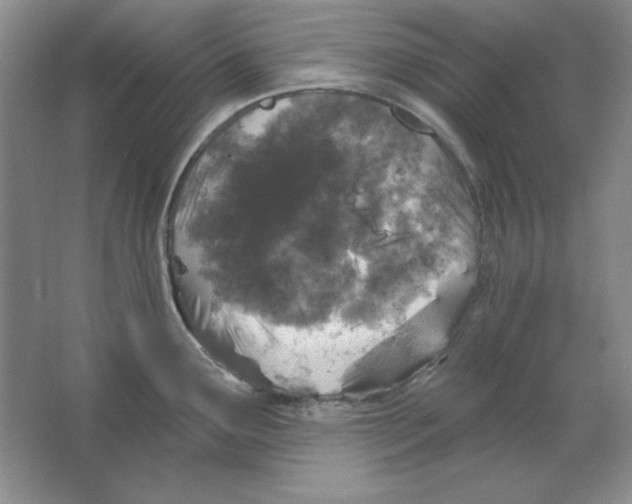 X0000064741291200603031658