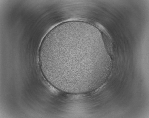 X0000064741292200603031658